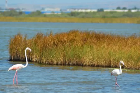 Kalochori Lagoon 450x300