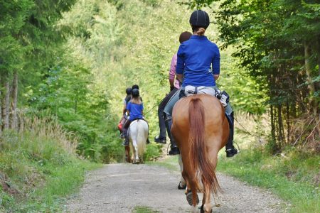 Therapeutic Horseback Riding