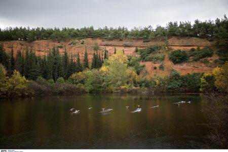 Hike to the Thermi Dam and visit the Trout Lake